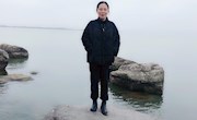 杨静