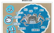 课程故事《“蟹”逅》