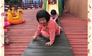 万马奔腾（托班）